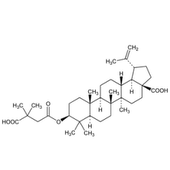 New HIV Drug Shows Promising Results