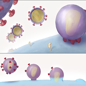 Fusion Inhibitors