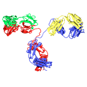 Therapeutic Vaccine Combined With Revlimid Achieves Response In High-Risk MDS Patients (ASH 2011)