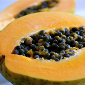Papayas, Papain and Multiple Myeloma: A Potential Adjunct Therapy That Requires Further Evaluation