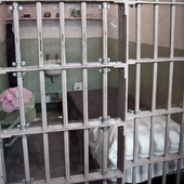 Share Of HIV Infections Among Incarcerated Individuals Declines