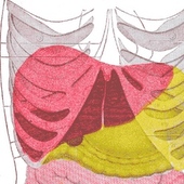 Incivek Improves Hepatitis C Treatment Response Rates In People With HIV