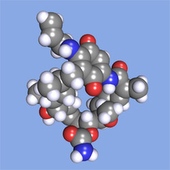 Bristol-Myers Squibb Halts Development of Tanespimycin