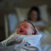 Exposure To Antiretrovirals During Pregnancy Does Not Alter Bone Development Of Infants