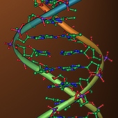 Genetic Risk Factors And Treatment History May Predict Response In Patients With Relapsed/Refractory Myeloma