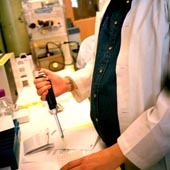 The Top Myeloma Research Of 2013